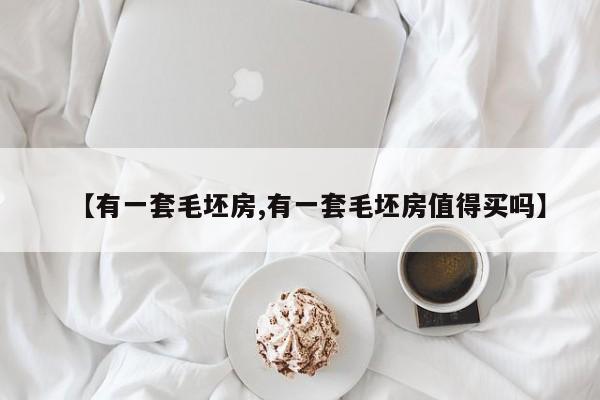 【有一套毛坯房,有一套毛坯房值得买吗】